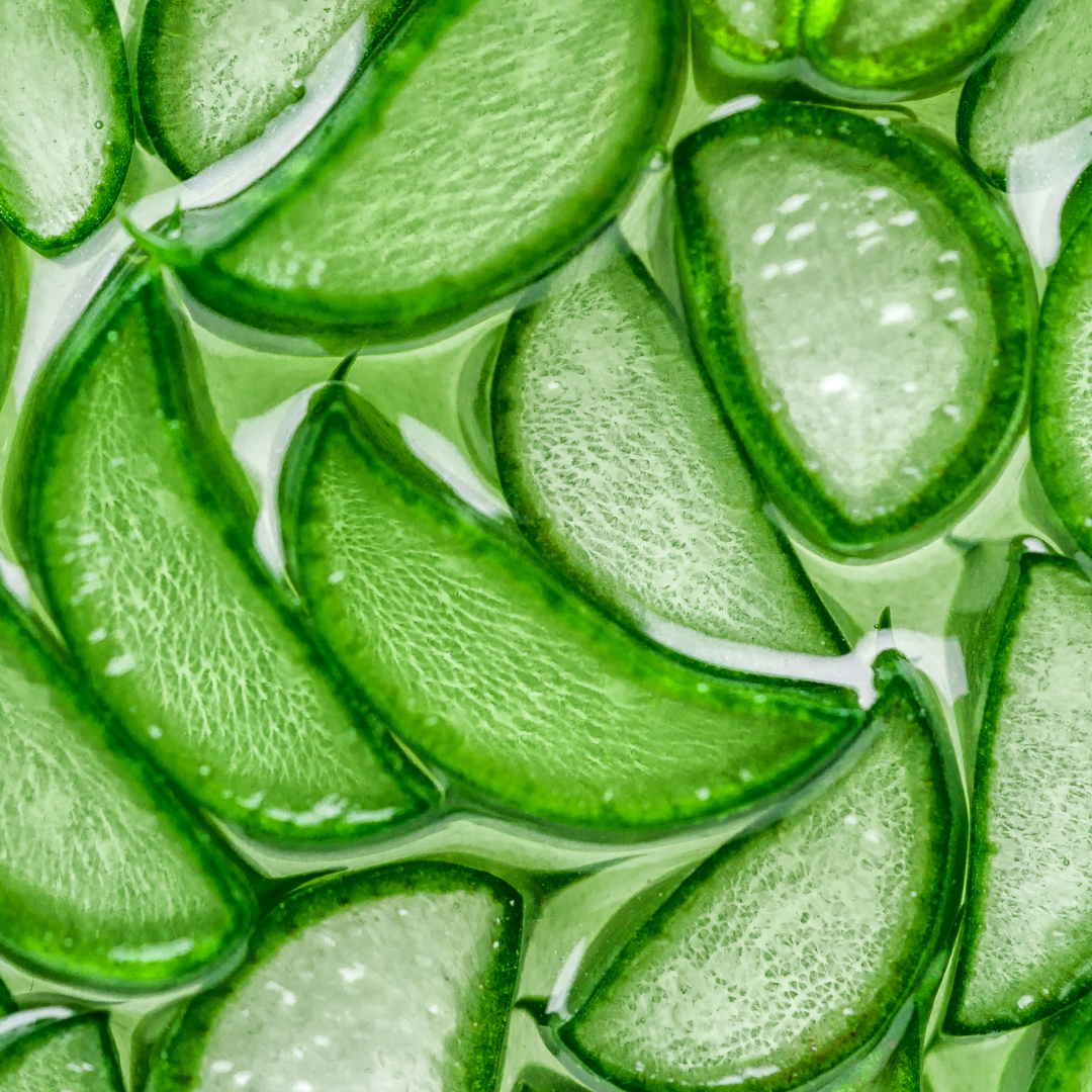 Energising Mist with Apothecary Rose and Seaweed